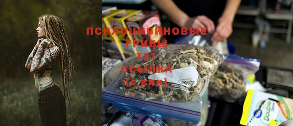 дживик Кущёвская